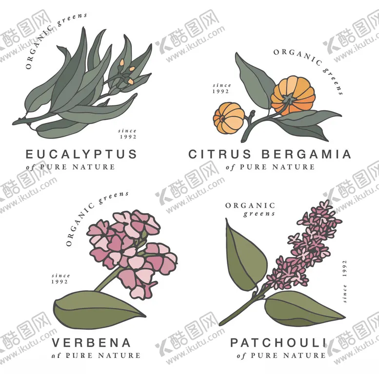 编号：73261002271638448003【酷图网】源文件下载-手绘水彩花卉草药元素