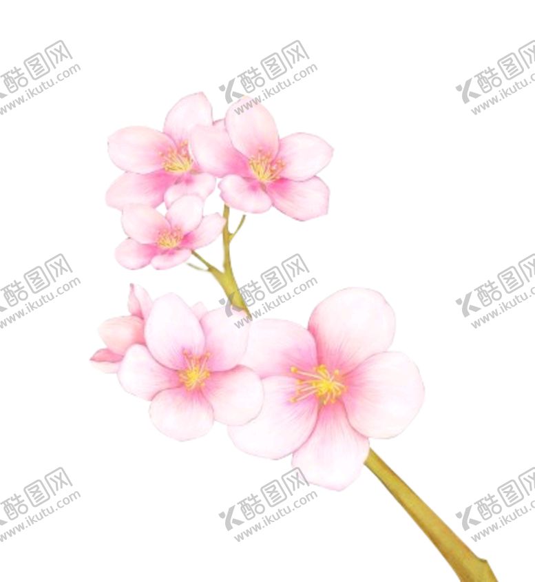 编号：71542710190213494535【酷图网】源文件下载-手绘桃花