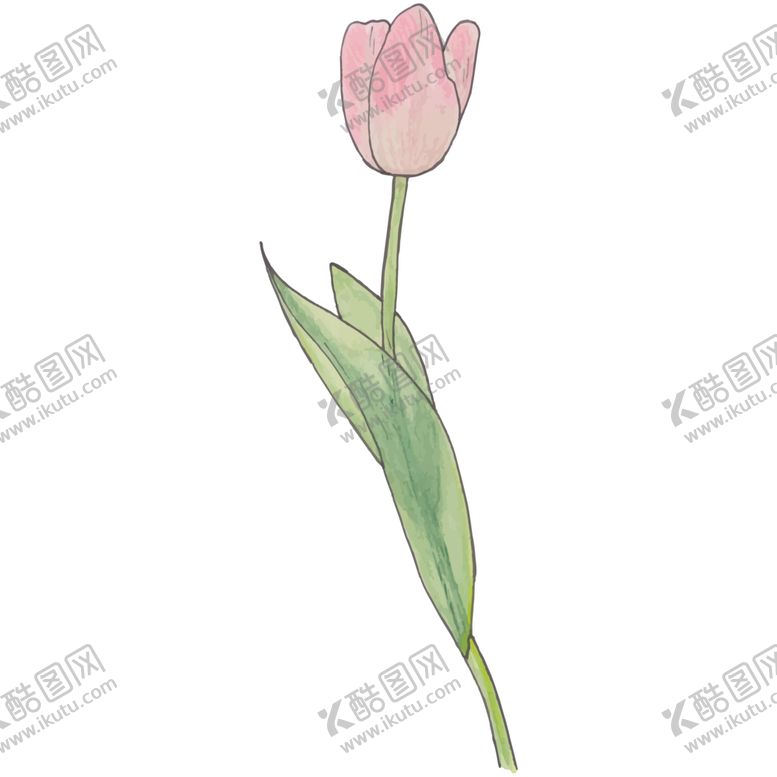 编号：77249405130619045298【酷图网】源文件下载-花图片