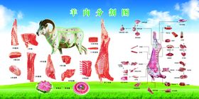 羊肉分割图
