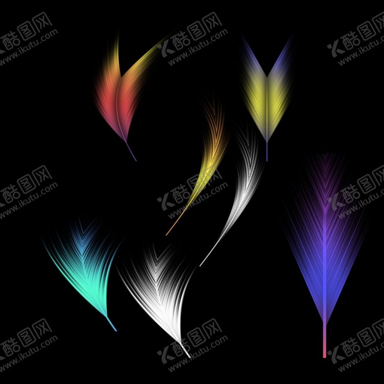编号：65819504171321037498【酷图网】源文件下载-各种形状羽毛