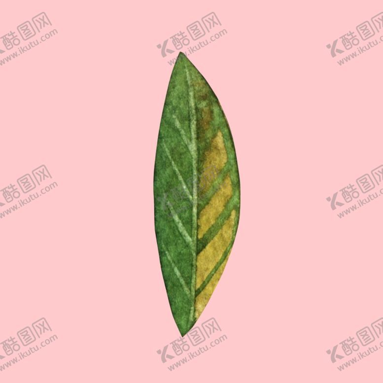 编号：58423910021106431968【酷图网】源文件下载-水彩植物