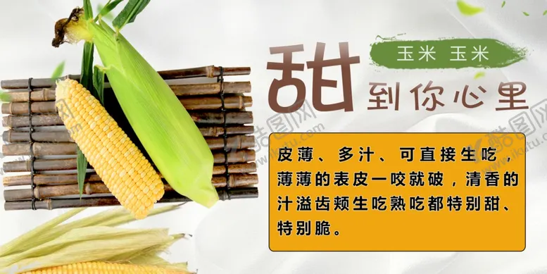 编号：63474106271108405503【酷图网】源文件下载-甜玉米