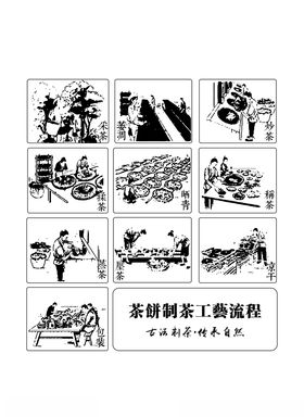 制茶图茶饼制茶工艺流程