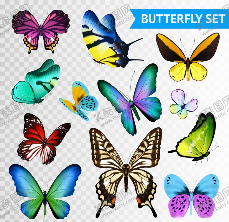 编号：86166809281352356853【酷图网】源文件下载-蝴蝶昆虫动物