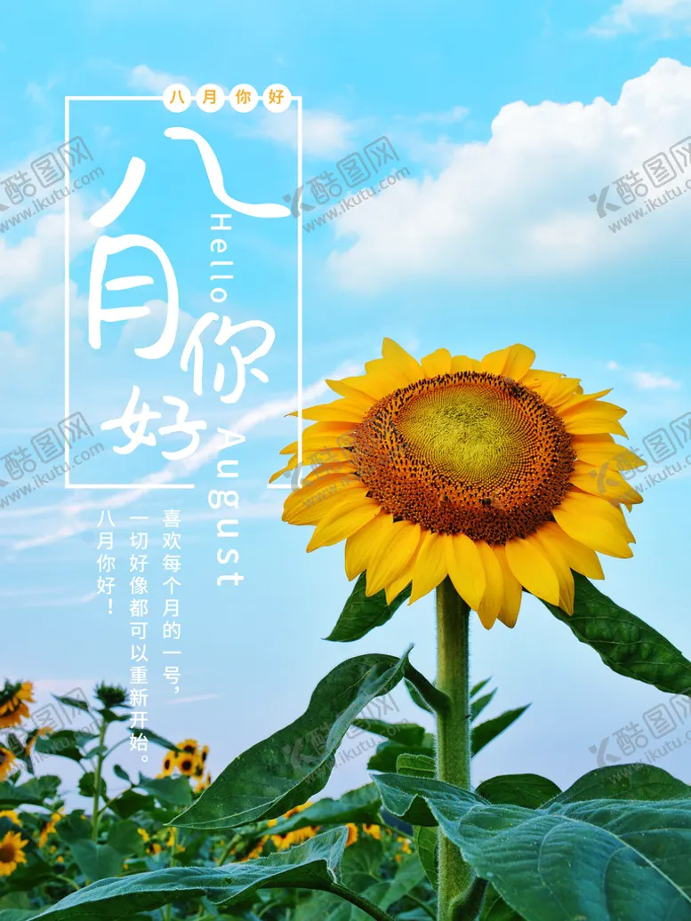 编号：52684309150515231372【酷图网】源文件下载-8月你好