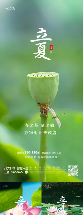 立夏节气系列海报