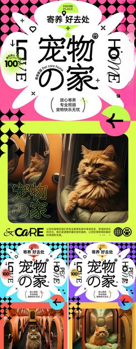 宠物茶会萌趣瞬间