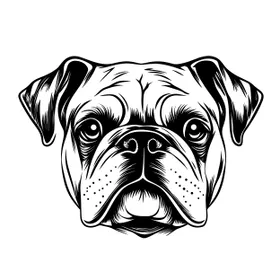 矢量卡通手绘斗牛犬头像