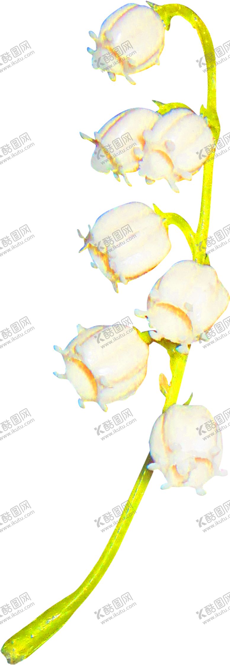编号：85440905182354315840【酷图网】源文件下载-花素材