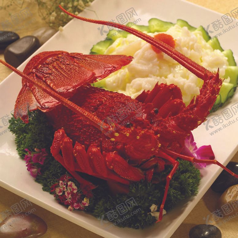 编号：41478310200504032905【酷图网】源文件下载-家常菜美食