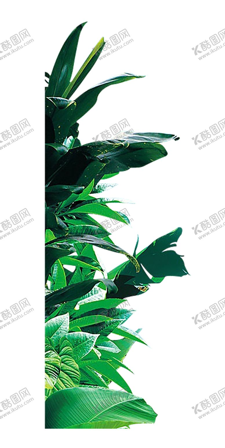 编号：31349310220808234799【酷图网】源文件下载-绿色背景