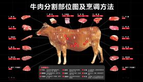 牛肉分割图