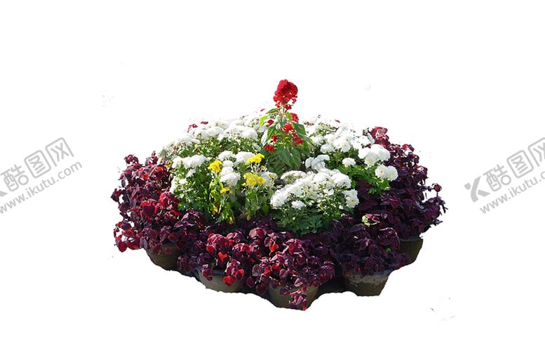 编号：85192309231030314715【酷图网】源文件下载-绿色植物