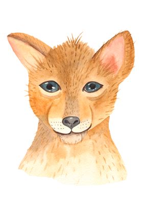 水彩卡通动物插画