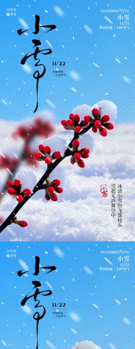 小雪节气梅花实景海报