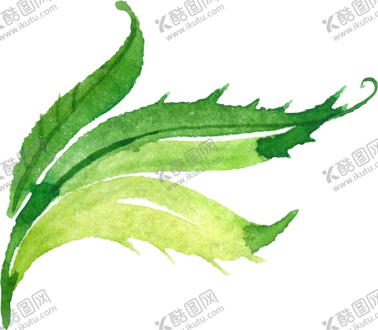 编号：20793005131354127261【酷图网】源文件下载-水彩手绘花卉花朵植物