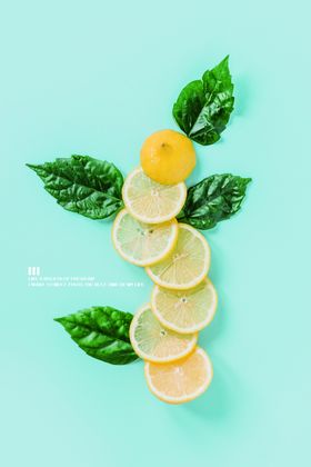 植物装饰画图片