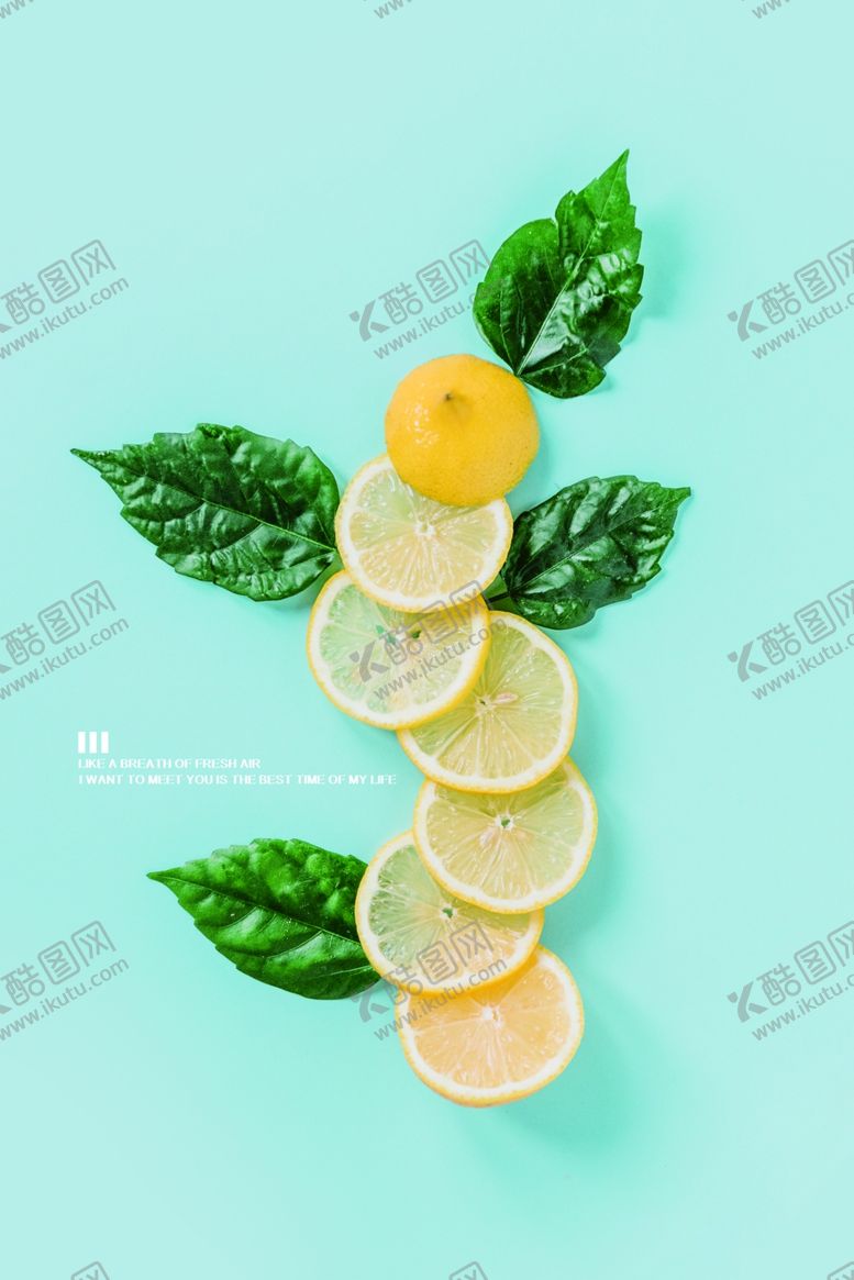 编号：71361605110504171871【酷图网】源文件下载-植物装饰画图片
