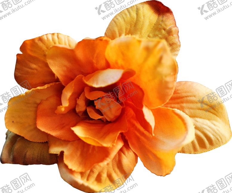 编号：48824506170620119486【酷图网】源文件下载-暗色玫瑰花花朵