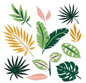 线条矢量手绘花草植物