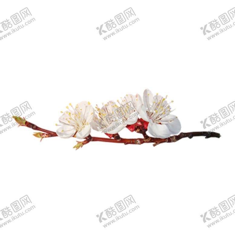 编号：10287910130253076614【酷图网】源文件下载-绿色装饰