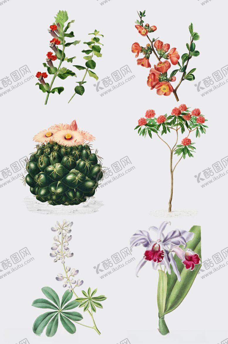 编号：15802402270432168865【酷图网】源文件下载-手绘水彩绿植插画元素