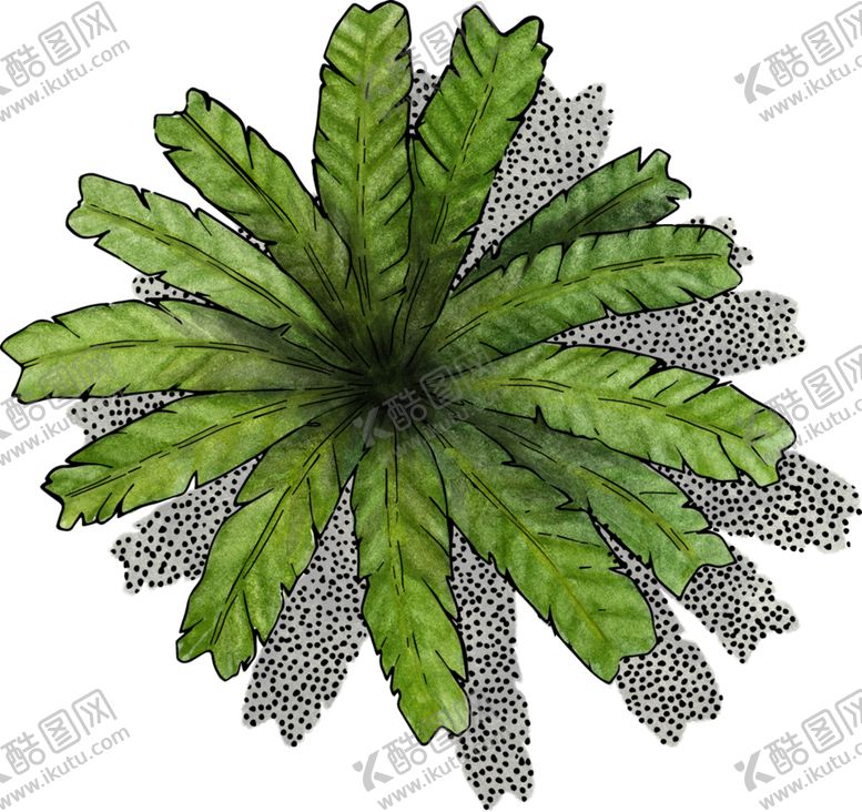 编号：80597305040755243019【酷图网】源文件下载-手绘植物