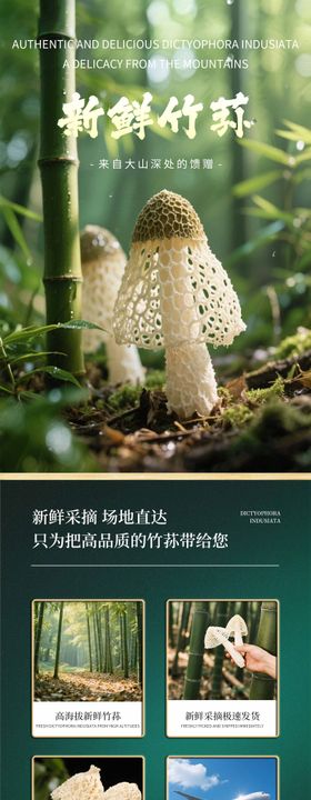 竹荪详情页
