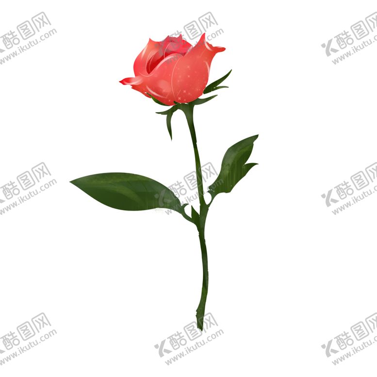 编号：89605902111951423211【酷图网】源文件下载-一支粉色玫瑰花手绘插画装饰