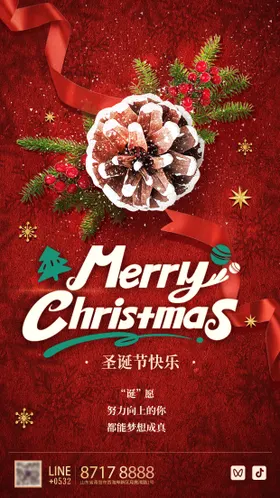 圣诞节海报复古松球红色背景
