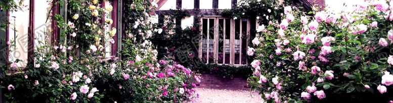 编号：34926309290028447045【酷图网】源文件下载-海报背景