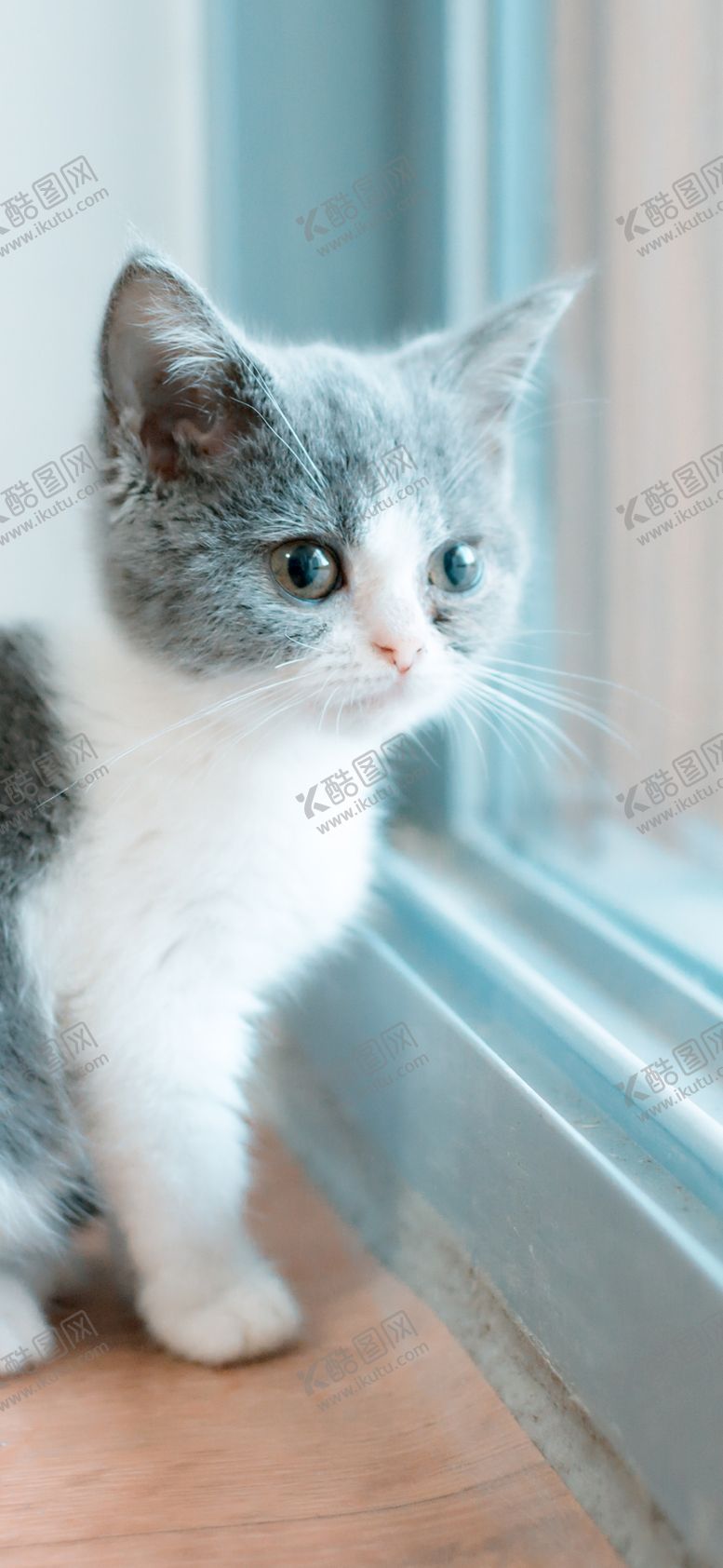 编号：82172509200631462598【酷图网】源文件下载-手机壁纸