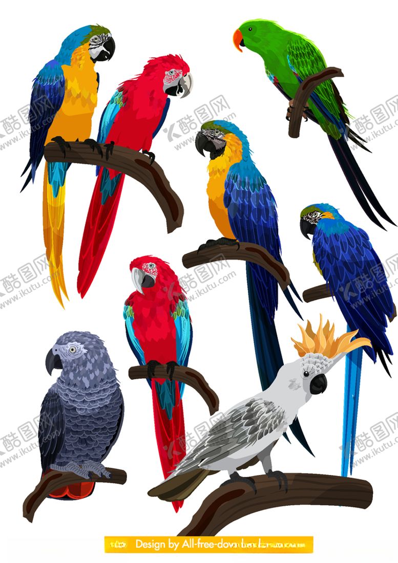 编号：54132309131953395388【酷图网】源文件下载-8款彩色鹦鹉设计