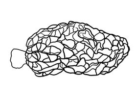 编号：85791609232126197140【酷图网】源文件下载-微生物菌