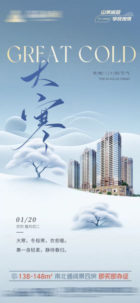 二十四节气大寒海报