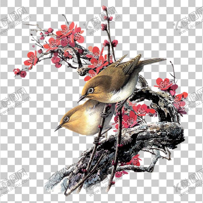 编号：34340207030546249547【酷图网】源文件下载-花鸟