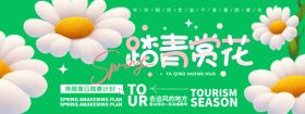 踏青赏花背景板