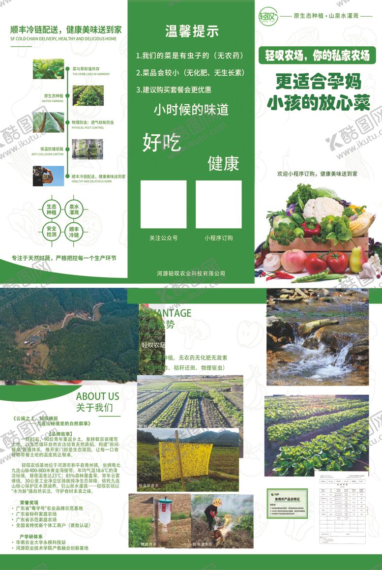 编号：32400209271146112884【酷图网】源文件下载-蔬菜三折页