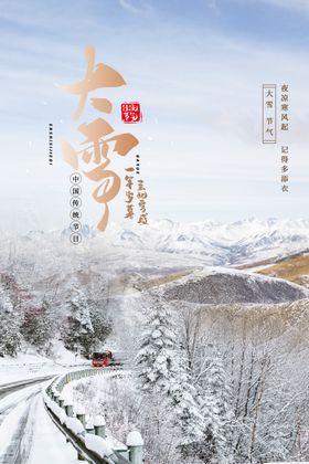 白色大寒雪景海报