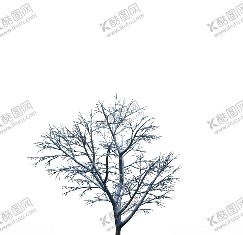 编号：78844107040459526357【酷图网】源文件下载-树木
