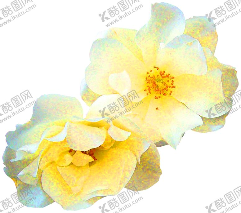 编号：74595207050212593704【酷图网】源文件下载-浪漫素材