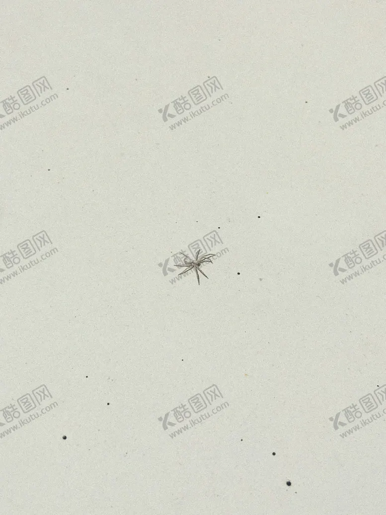 编号：24190212202318389538【酷图网】源文件下载-蜘蛛