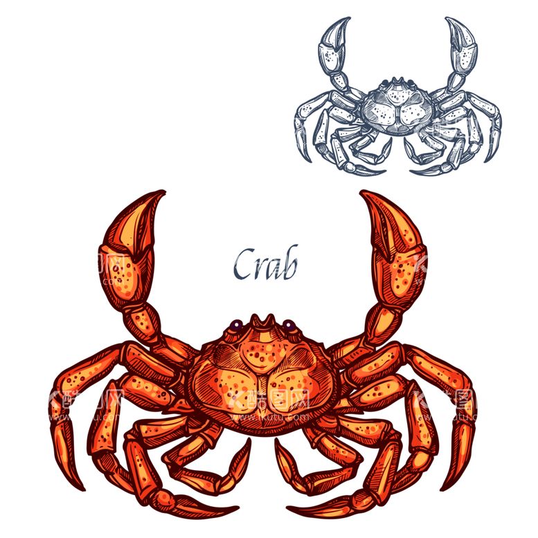 编号：33713412250151116998【酷图网】源文件下载-卡通螃蟹