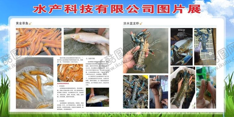 编号：27466302092144559139【酷图网】源文件下载-小龙虾