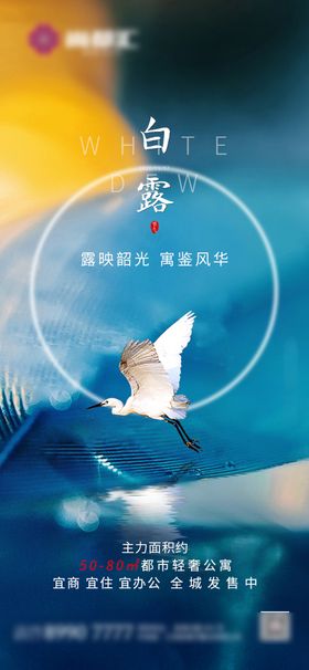 白露海报地产飞鹤二十四节气
