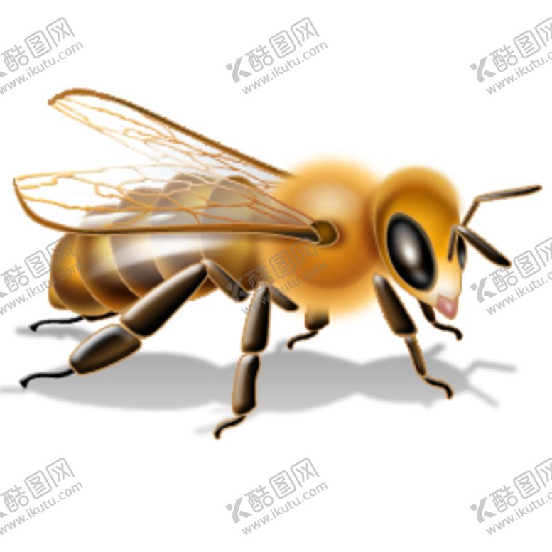编号：74107606170018151438【酷图网】源文件下载-蜜蜂