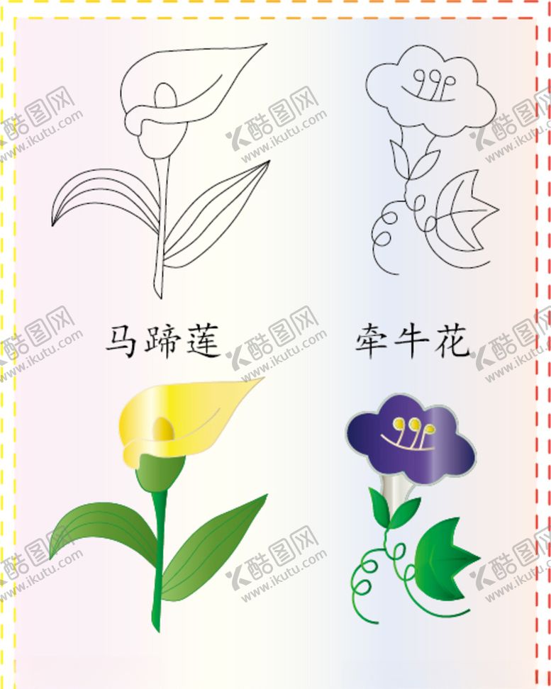 编号：14579605110631526281【酷图网】源文件下载-马蹄莲牵牛花