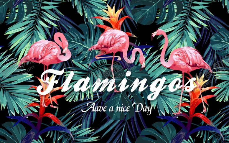 编号：49385009230004331264【酷图网】源文件下载-火烈鸟与芭蕉