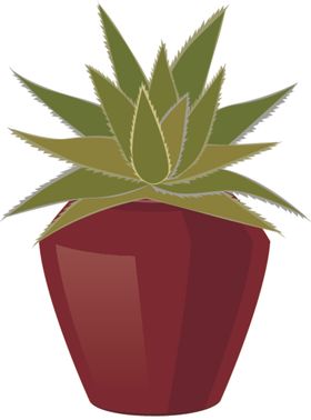 盆景盆栽